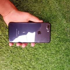 I phone 7 plus