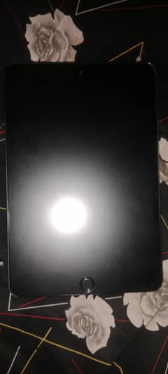 Mini 5 panal
