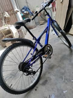 mountain bike