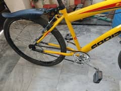 Cycle