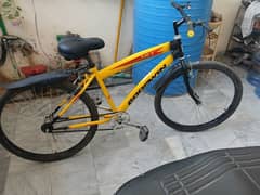 Cycle