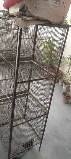 Bird cage for sale