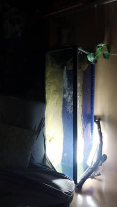 4 ft completed aquarium
