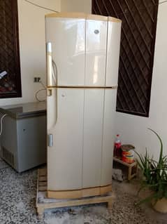 PEL FRIGE