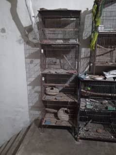 Bird's Cage | Parrot ka Pinjra