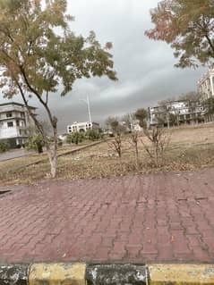 8080 Commercial Plot  Gulberg D Markz Corner & General pair