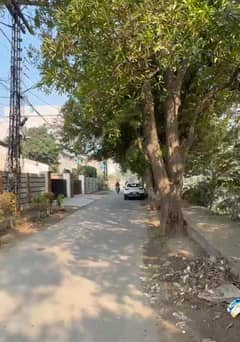 Life Time Commercial Building For Sale