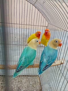 parblue