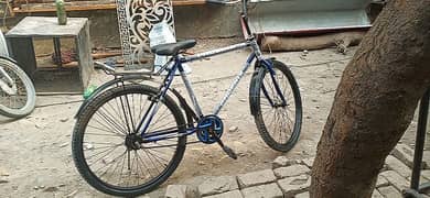 original phonenix cycle