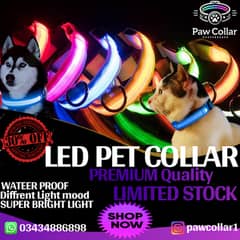 Led Pet Collar