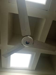 Ceiling