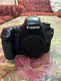 Canon 6D Mark II (With Lens 100% Work)