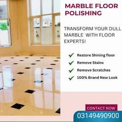 Marble Chips Tiles Polish Floor Cleaning
