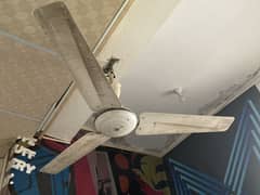 Selling 3 ceiling fans urgently