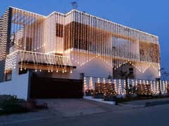 Wedding lights and home lighting lights decorations