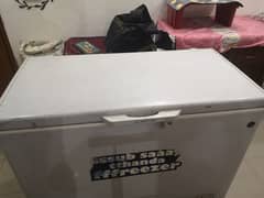 PEL Deep Freezer