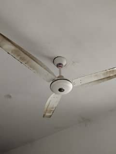 ceiling