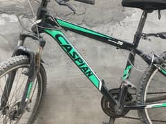 Gear bicycle