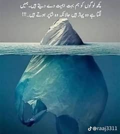 03164413363 total genuine
