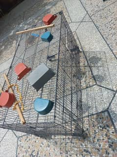 love bird cage