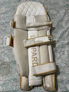 International high quality premium cricket kit