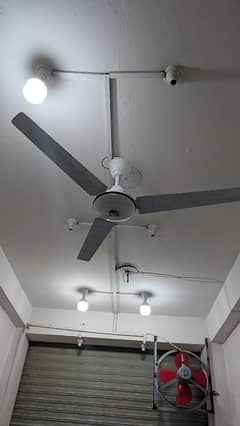 ceiling