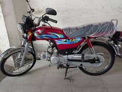 Honda CD70 2024 Lush 03007352319