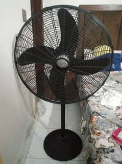 rado fan