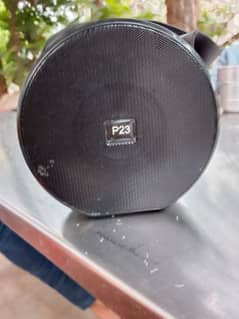 P23 speakers