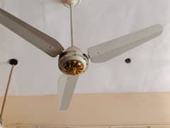 celling