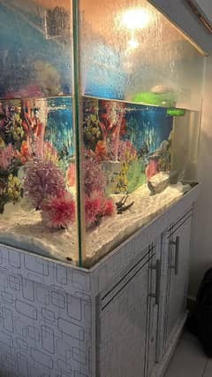 Aquarium Fish House Good Condition