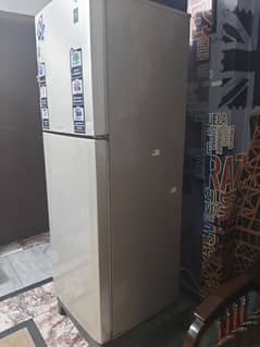 Pel Fridge almost new 1 year use only