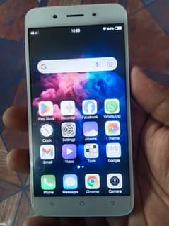 VIVO