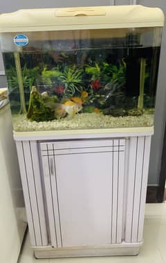 Fish Aquarium