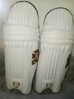 cricket
