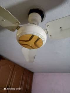 Fan for sale