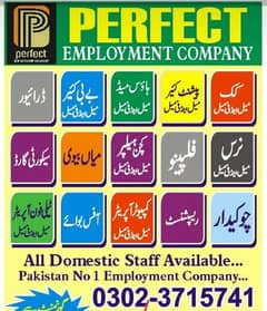 House Cook / Maids / House Maids / Chef / Baby Sitter maid available