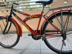cycle