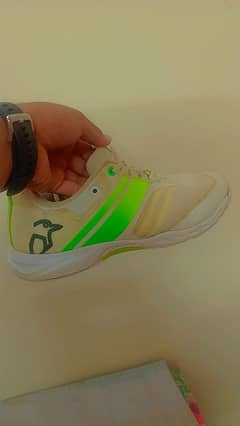 Kookaburra Bowling Spikes