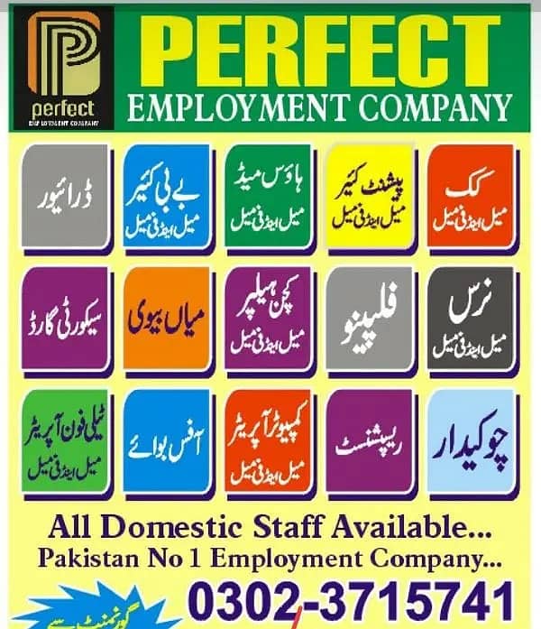 Nursing Staff, Care Taker, Patient Attendant, Nanny, Maid Helpers 2