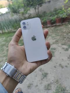 iPhone 12 256Gb non pta