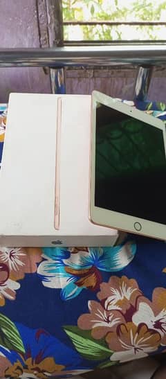 ipad mini 5