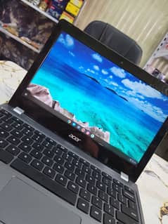 Acer
