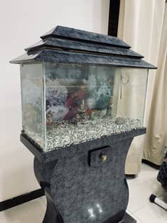 Aquarium