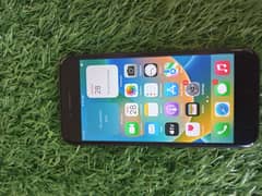 iPhone 8