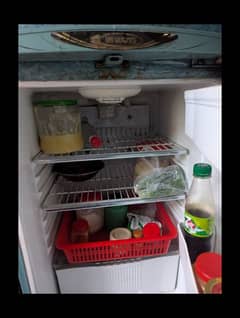 Waves fridge