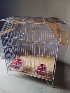 Green neck parrot (female) with cage