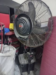 3 Royal Missed Fans For Sale
