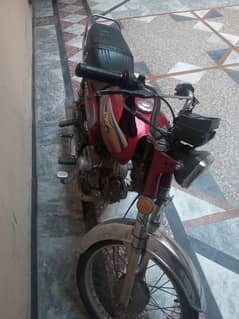 Bike for rent