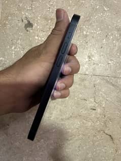 iPhone 12 128GB Dual PTA Approved